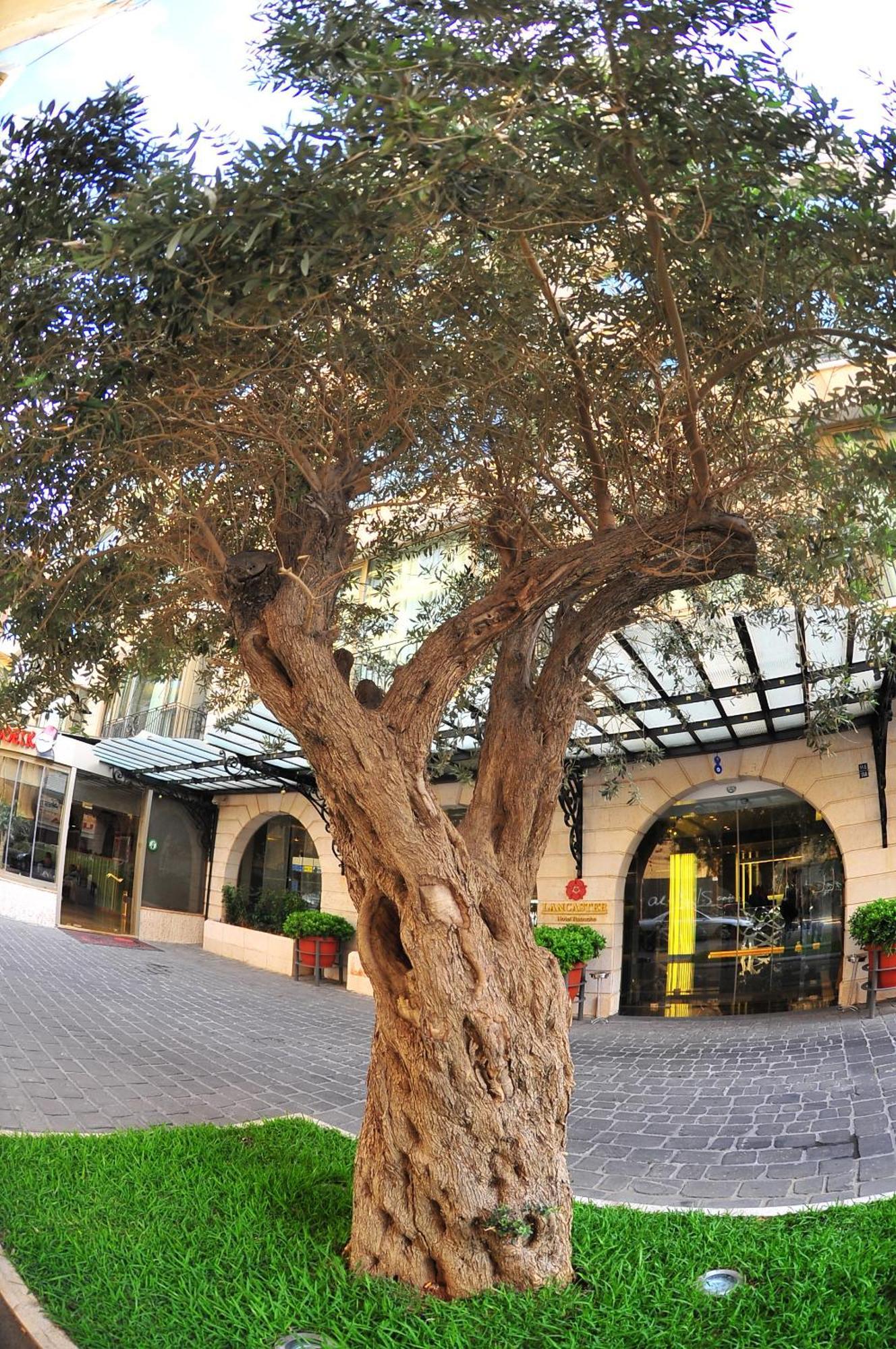 Lancaster Raouche Hotel Beirute Exterior foto